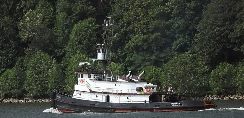 SALISHAN General Cargo IMO 7398573 photo 2