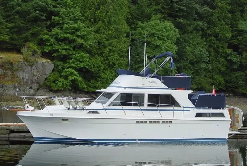 SALISHAN General Cargo IMO 7398573 photo 3