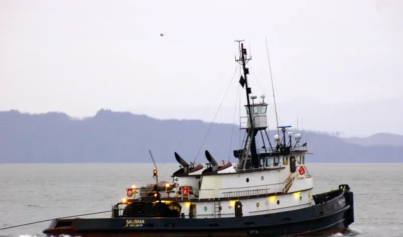 SALISHAN General Cargo IMO 7398573 photo 5