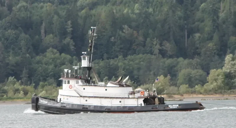 SALISHAN General Cargo IMO 7398573 photo 7