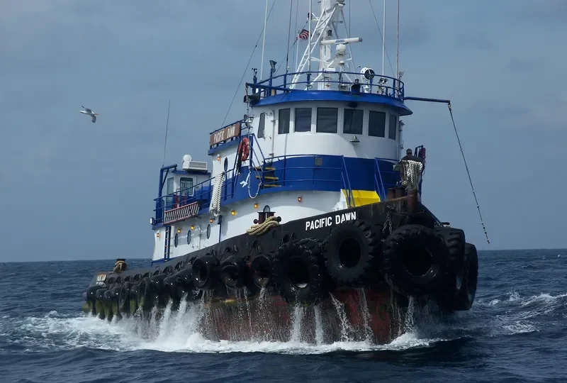PACIFIC DAWN General Cargo IMO 7400467 photo 4