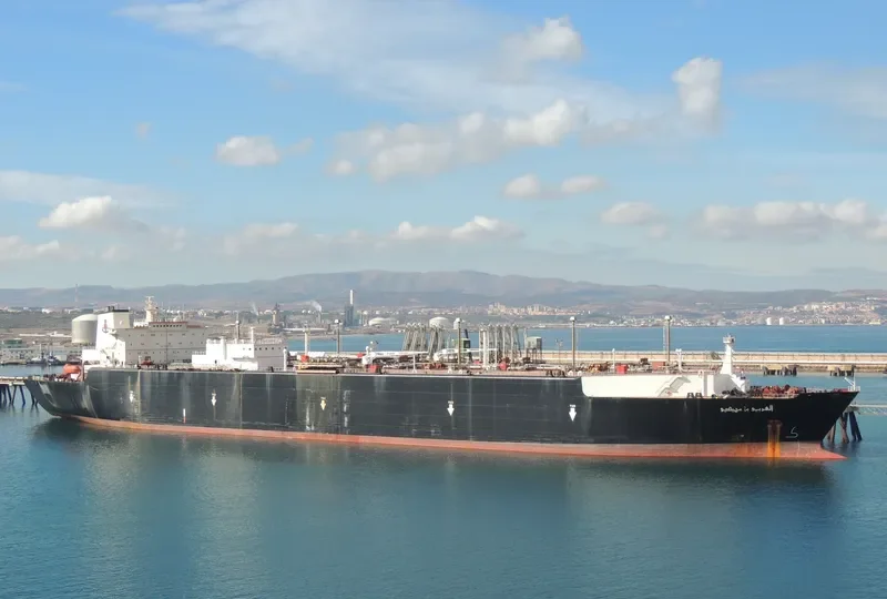 LARBI BEN M'HIDI General Cargo IMO 7400663