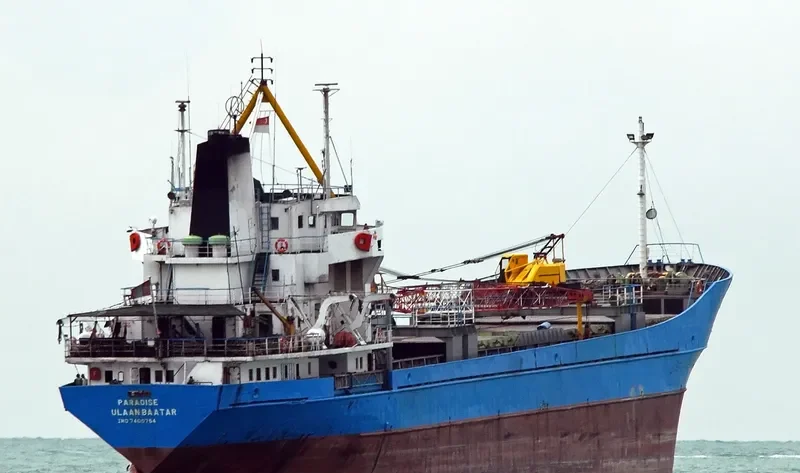 PARADISE General Cargo IMO 7400754