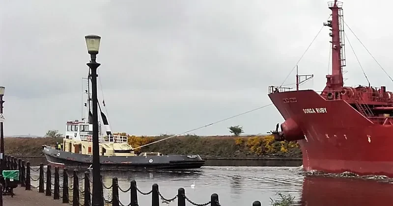 C.VIKING General Cargo IMO 7400974 photo 2