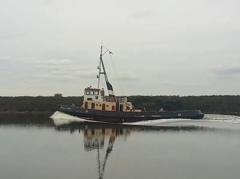 C.VIKING General Cargo IMO 7400974 photo 7