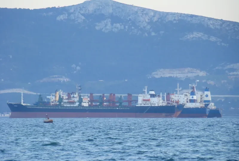 WINNER 2 Bulk Carrier IMO 7401849