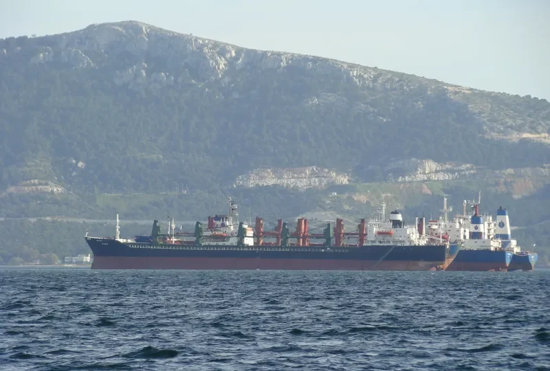 WINNER 2 Bulk Carrier IMO 7401849 photo 2
