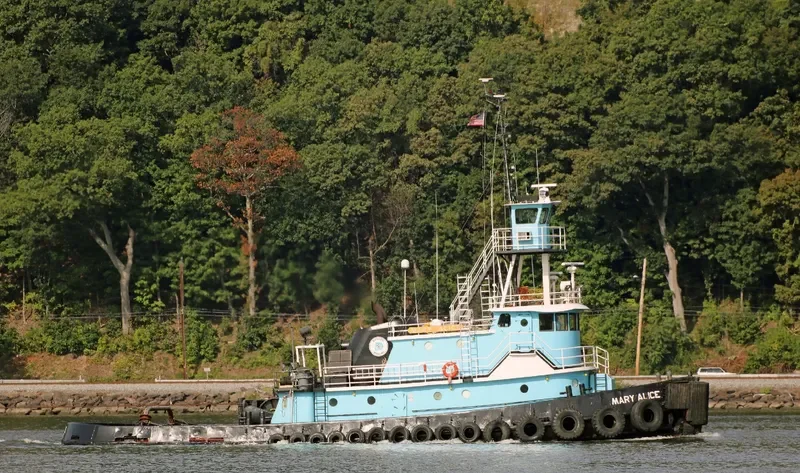 MARY ALICE General Cargo IMO 7402738 photo 4