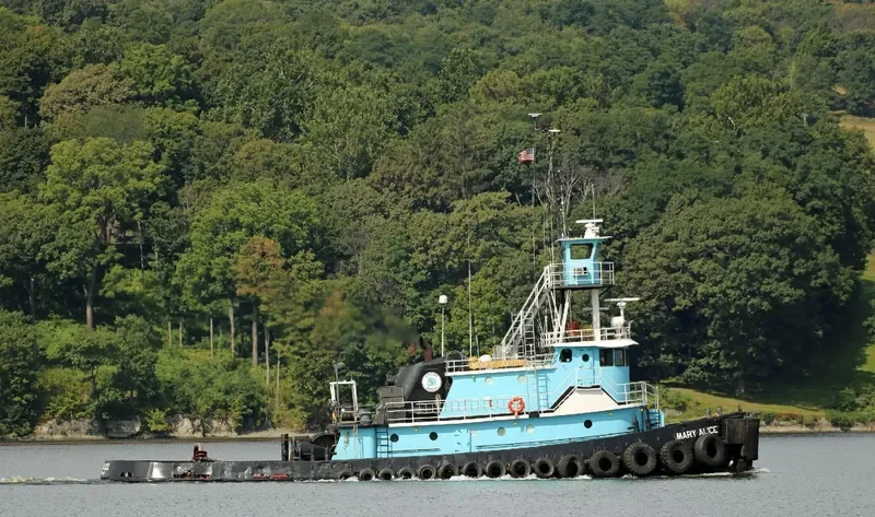 MARY ALICE General Cargo IMO 7402738 photo 6