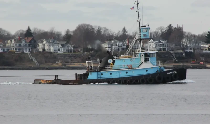 MARY ALICE General Cargo IMO 7402738 photo 7