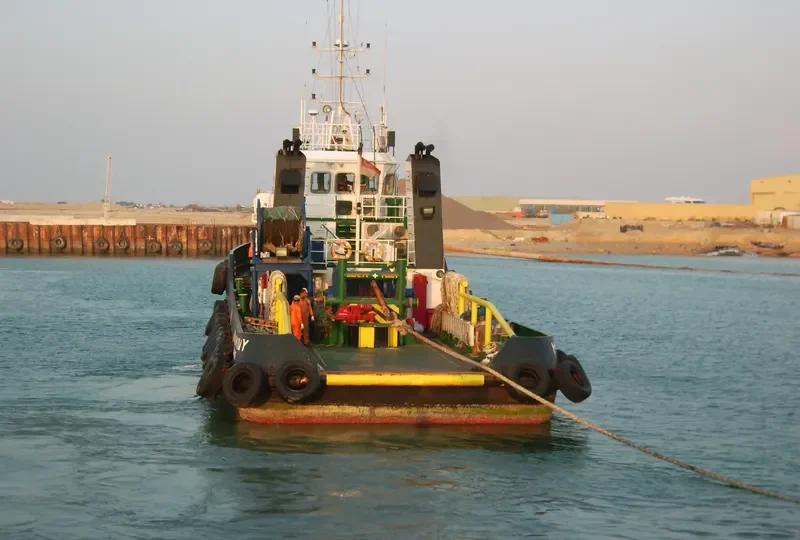 TIBA FOLK Offshore Supply Vessel IMO 7403017 photo 2