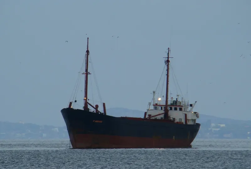 SHAHEEN III General Cargo IMO 7403108 photo 5