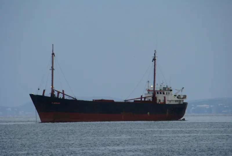 SHAHEEN III General Cargo IMO 7403108 photo 6