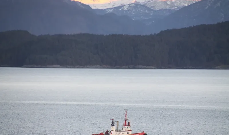 BEVER General Cargo IMO 7403184