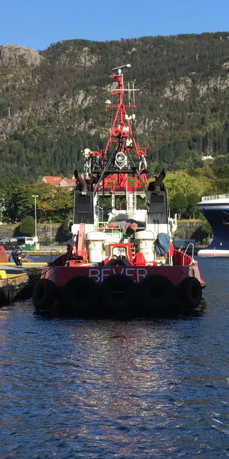 BEVER General Cargo IMO 7403184 photo 2