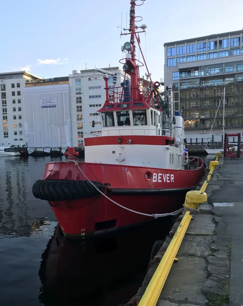 BEVER General Cargo IMO 7403184 photo 3