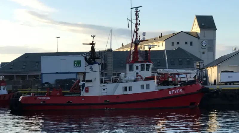 BEVER General Cargo IMO 7403184 photo 4