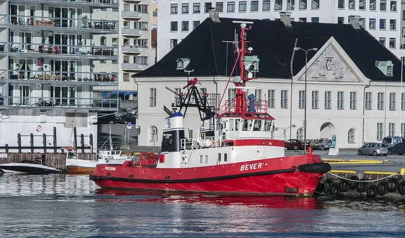 BEVER General Cargo IMO 7403184 photo 10