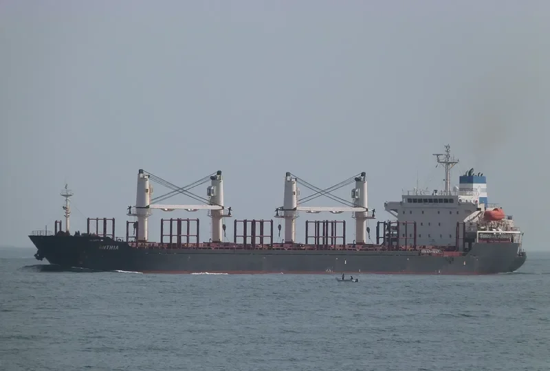 ANTHIA Bulk Carrier IMO 7403213 photo 3