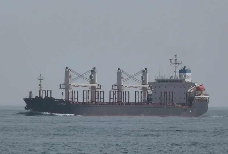 ANTHIA Bulk Carrier IMO 7403213 photo 4