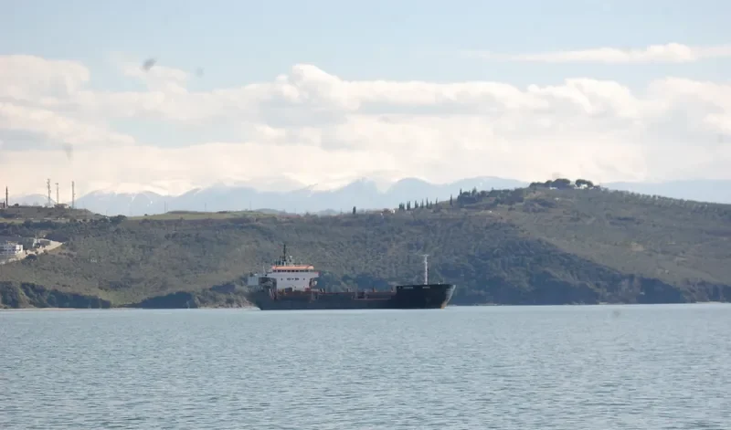 ZEHRA VIII General Cargo IMO 7403548 photo 2