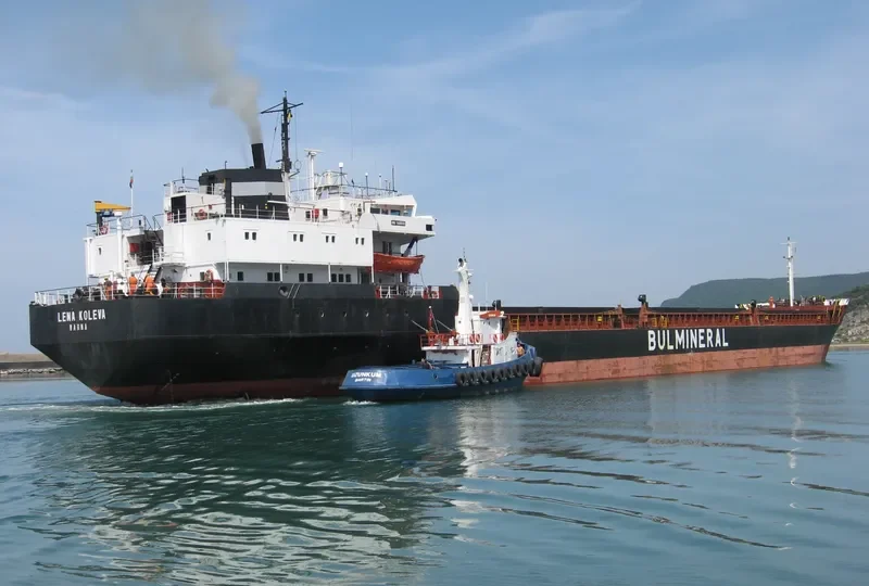 LENA KOLEVA General Cargo IMO 7403550 photo 7