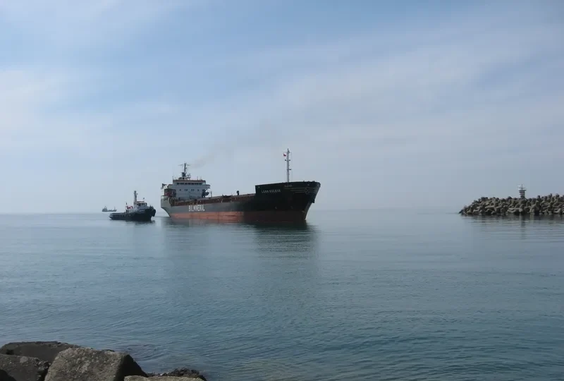 LENA KOLEVA General Cargo IMO 7403550 photo 8