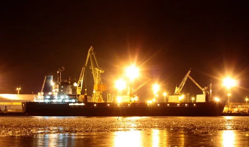 REDWOOD General Cargo IMO 7403689 photo 4