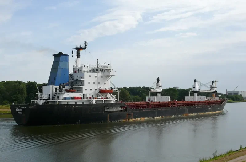 REDWOOD General Cargo IMO 7403689 photo 8