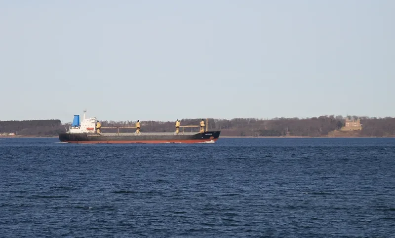 WHITEWOOD General Cargo IMO 7403691 photo 8