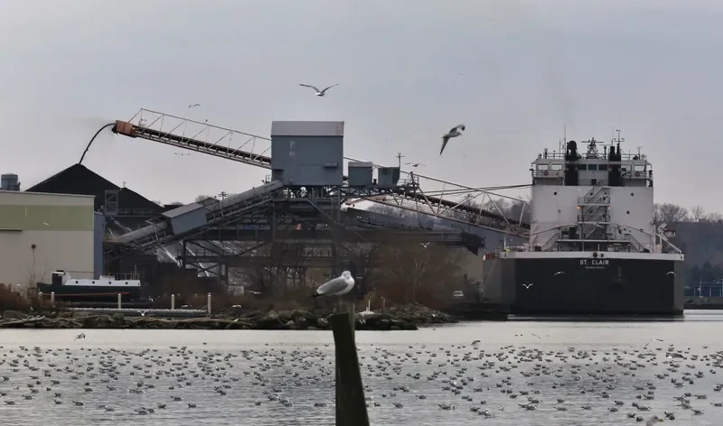 ST.CLAIR Bulk Carrier IMO 7403990 photo 6
