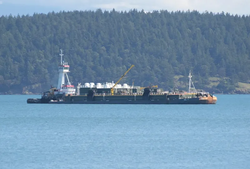 PACIFIC WOLF General Cargo IMO 7404047 photo 8