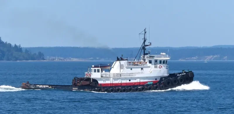 POLAR VIKING General Cargo IMO 7404097 photo 2