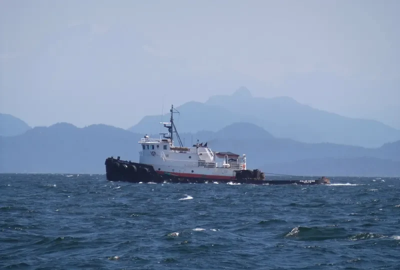 POLAR VIKING General Cargo IMO 7404097 photo 3