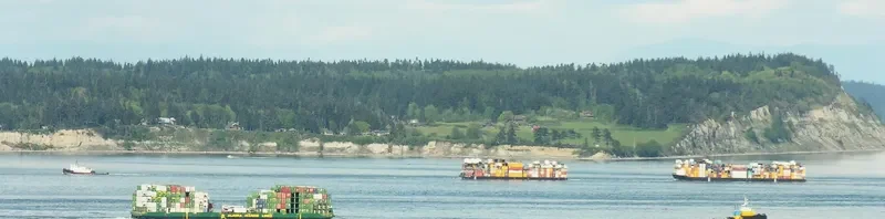 POLAR VIKING General Cargo IMO 7404097 photo 7