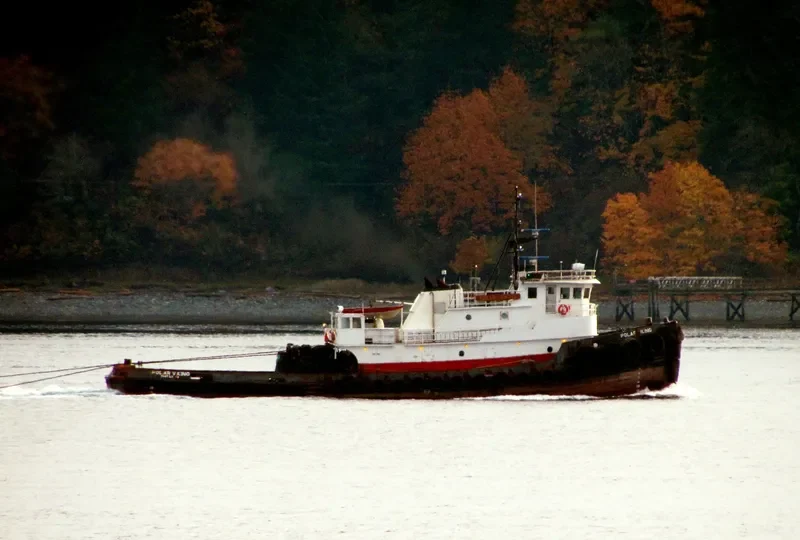 POLAR VIKING General Cargo IMO 7404097 photo 10