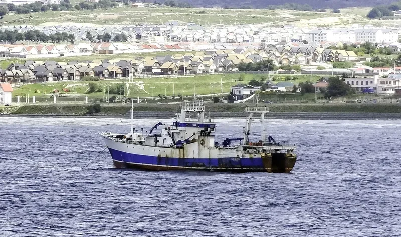 CABO DE HORNOS General Cargo IMO 7404372 photo 3