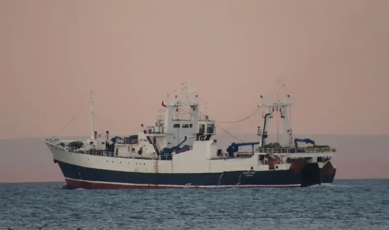 CABO DE HORNOS General Cargo IMO 7404372 photo 4