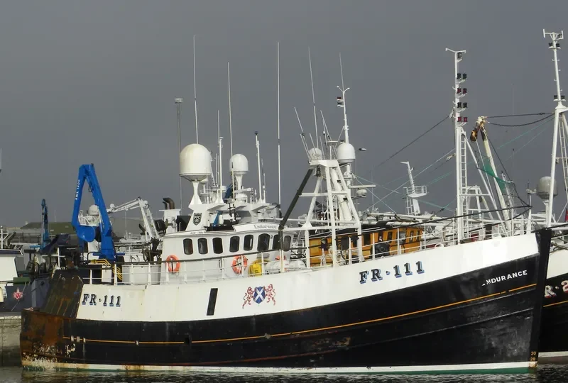 GV ENDURANCE General Cargo IMO 7404762