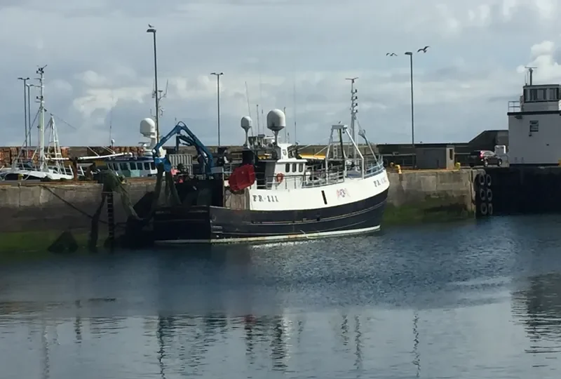 GV ENDURANCE General Cargo IMO 7404762 photo 2