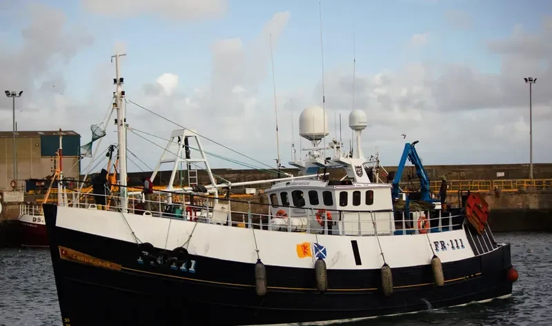 GV ENDURANCE General Cargo IMO 7404762 photo 5