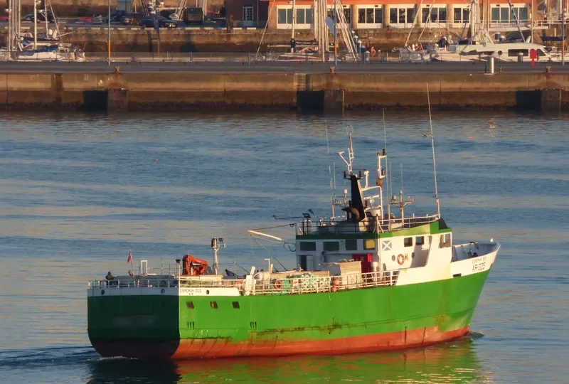 ESPEMAR DOS General Cargo IMO 7404803
