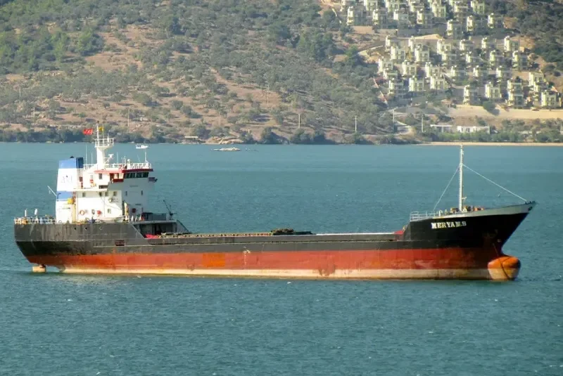 DEALA General Cargo IMO 7405091 photo 6