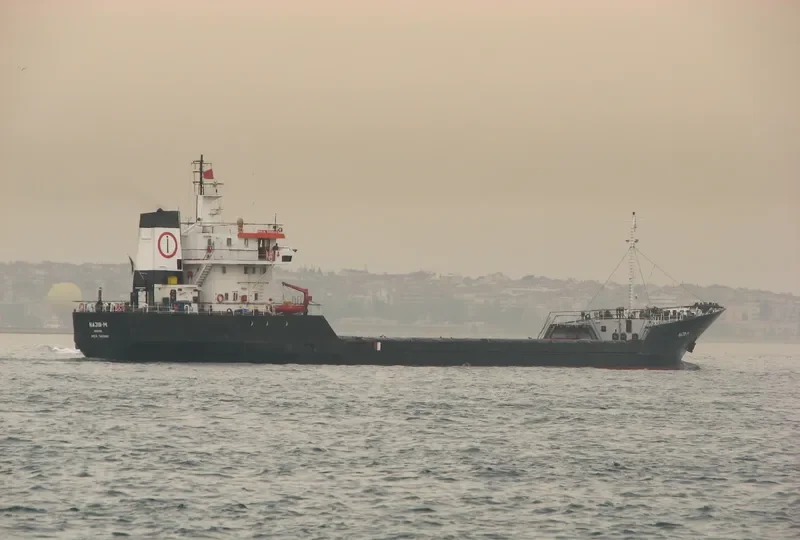 DEALA General Cargo IMO 7405091 photo 8