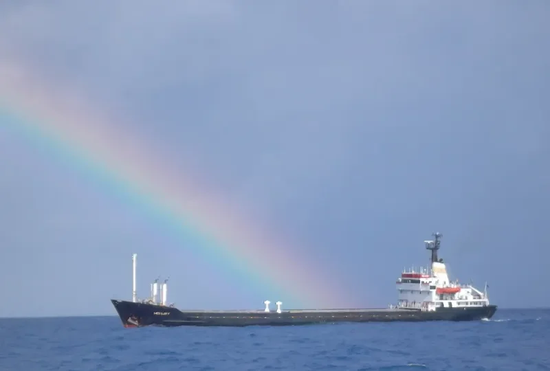 MED GLORY General Cargo IMO 7405651 photo 6