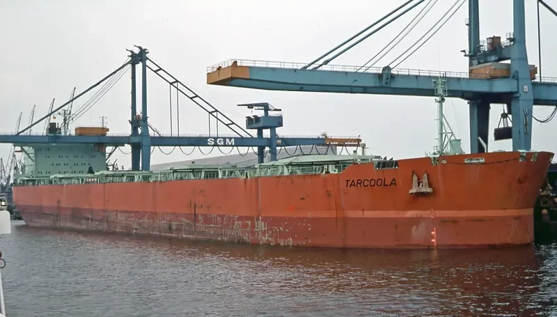 MEGA BROOK Bulk Carrier IMO 7405675