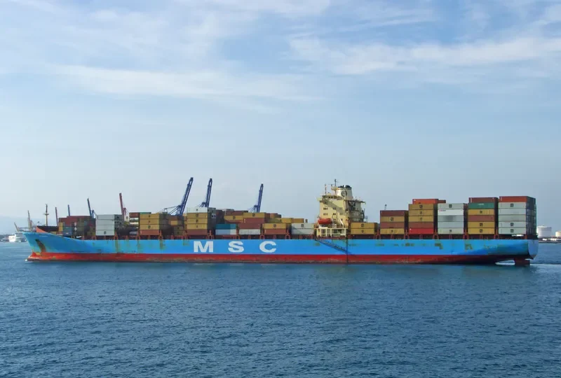 ETOILE Bulk Carrier IMO 7405687 photo 8