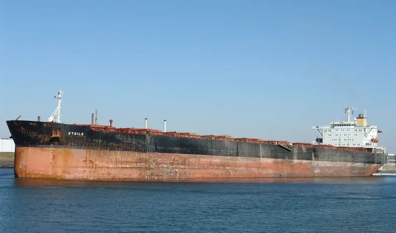 ETOILE Bulk Carrier IMO 7405687 photo 10