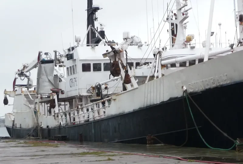 WINDO Fishing Vessel IMO 7405869 photo 3