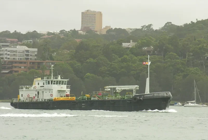AMORENA General Cargo IMO 7405962 photo 4